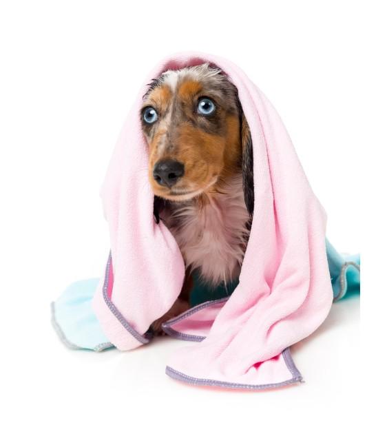 FuzzYard Microfibre Pink With Grey Trim Drying Towel For Dogs
