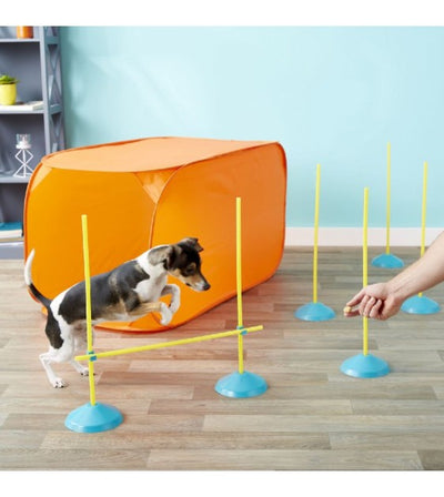 Outward Hound Zip & Zoom Indoor Agility Kit for Dogs