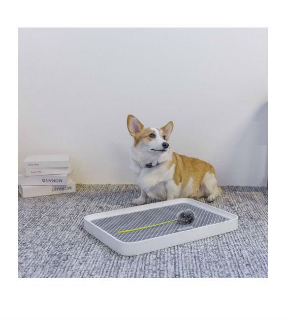PETKIT PURA Training Pee Tray For Dogs