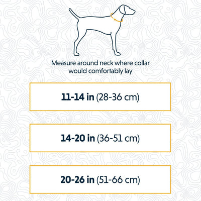 Ruffwear Chain Reaction™ Reflective Martingale Dog Collar (Sunset)