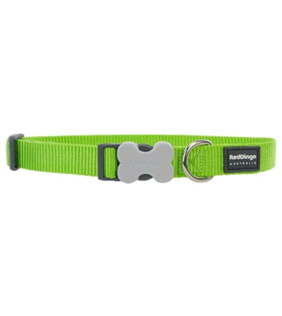 Red Dingo Classic Dog Collar (Lime Green)