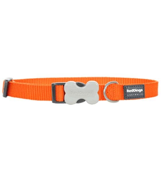 Red Dingo Classic Dog Collar (Orange)