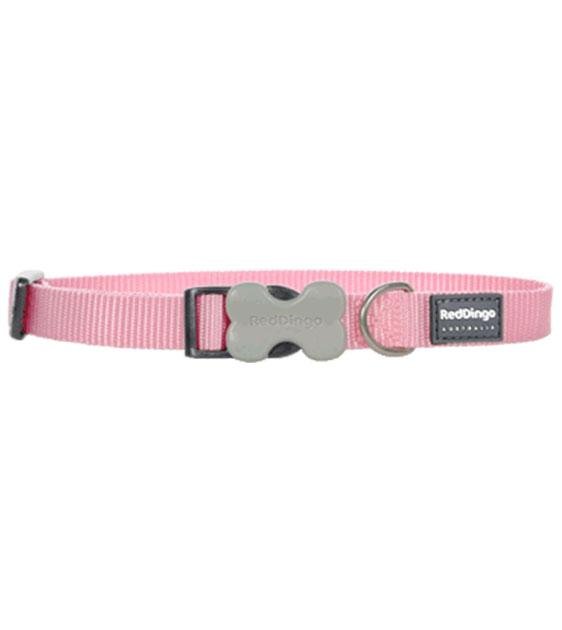 Red Dingo Classic Dog Collar (Pink)