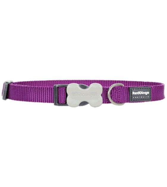 Red Dingo Classic Dog Collar (Purple)