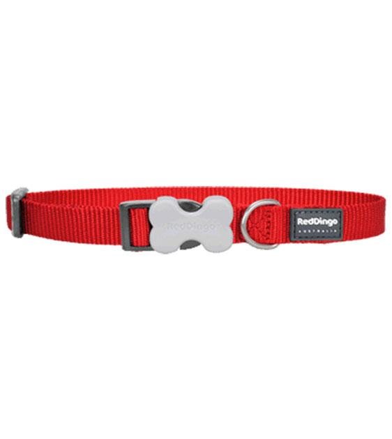Red Dingo Classic Dog Collar (Red)