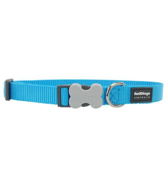 Red Dingo Classic Dog Collar (Turquoise)