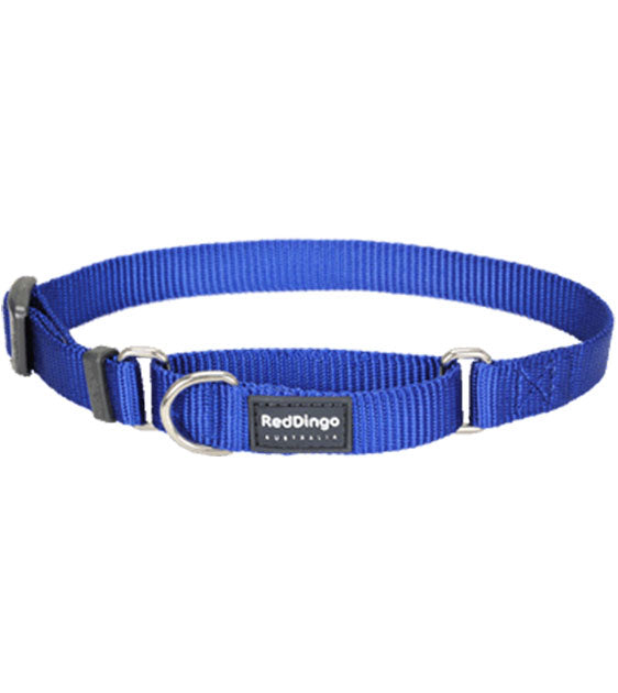 Red Dingo Martingale Choke Prevention Dog Collar (Dark Blue)