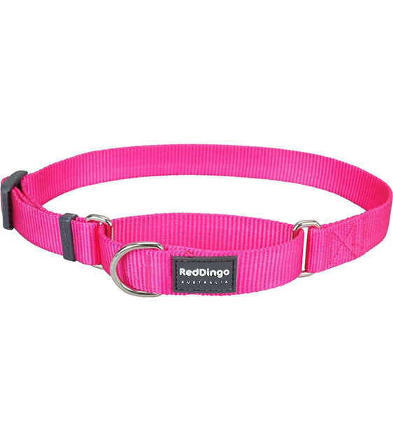 Red Dingo Martingale Choke Prevention Dog Collar (Hot Pink)