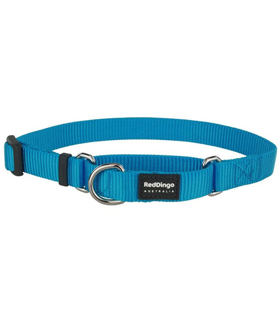 Red Dingo Martingale Choke Prevention Dog Collar (Turquoise)