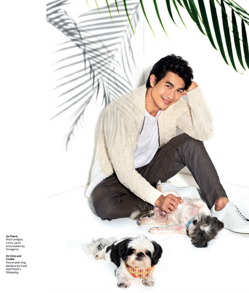 Good Dog People x Ohpopdog Pawranakan Dog Bandana Crazy Rich Asian Pierre Png