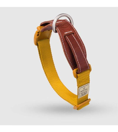 Sputnik Nylon (Yellow) Dog Collar