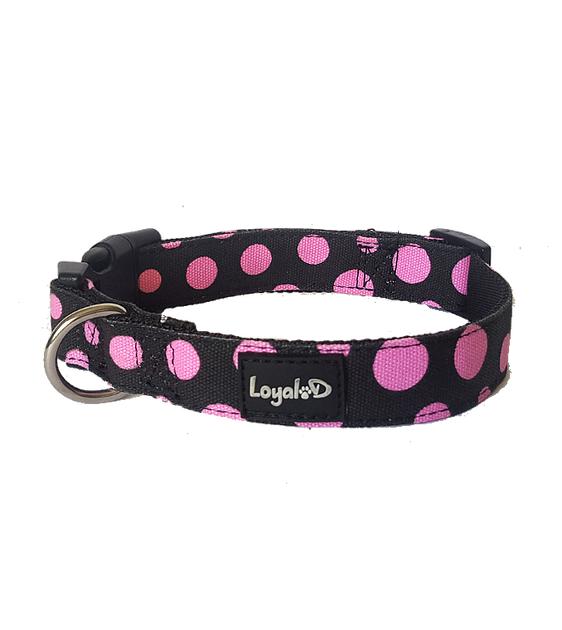 Loyal.D WIDE Canvas.D Get Spott.D (Pink) Dog Collar