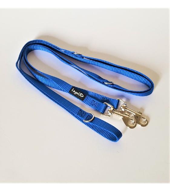 Loyal.D Multi-Purpose.D Blue Dog Leash