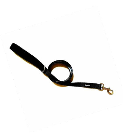 Loyal.D Fix.D Comfort Black Dog Leash (Fleece Handle)