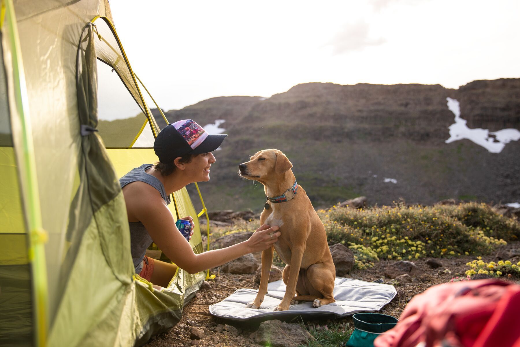 Ruffwear Top Rope⢠Reflective Ballasted Dog Collar (Blue Dusk)
