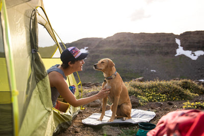 Ruffwear Top Rope⢠Reflective Ballasted Dog Collar (Blue Dusk)