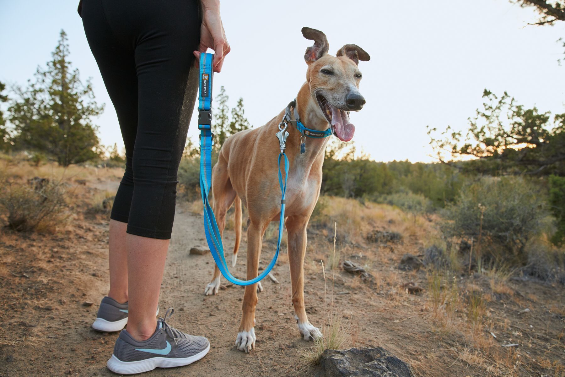 Ruffwear Web Reaction⢠Reflective Buckled Martingale Dog Collar (Blue Dusk)
