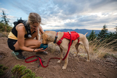 Ruffwear Flat Out™ Patterned Dog Collar (Oceanic Distortion)