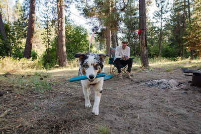 Ruffwear Gnawt-a-Stick⢠Rubber Floating Fetch Dog Toy - Camping Playing