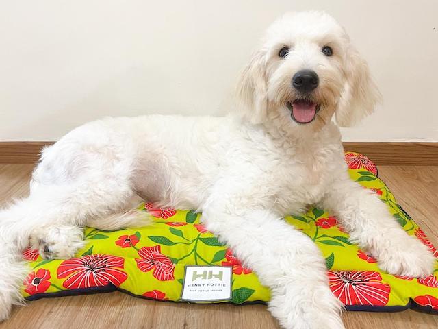 Henry Hottie Cafe Dog Mat 01