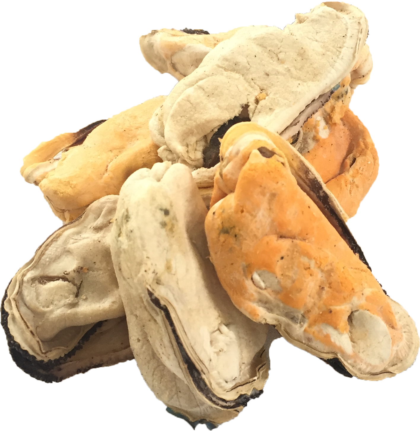 Freeze Dry Australia Whole Green Lip Mussels Freeze Dried Cat & Dog Treats