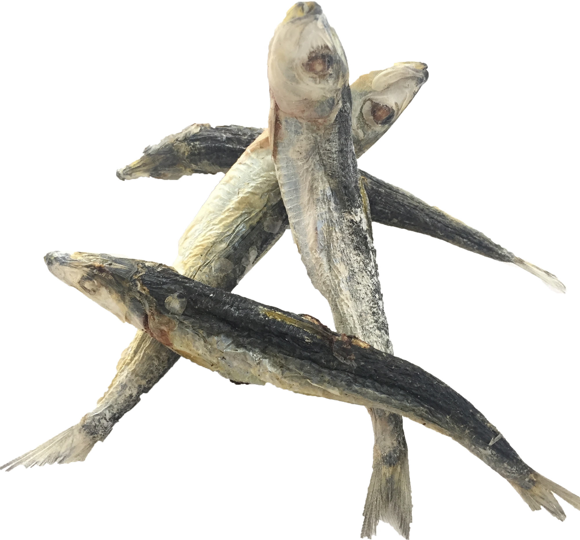 Freeze Dry Australia Whole Sardines Freeze Dried Cat & Dog Treats