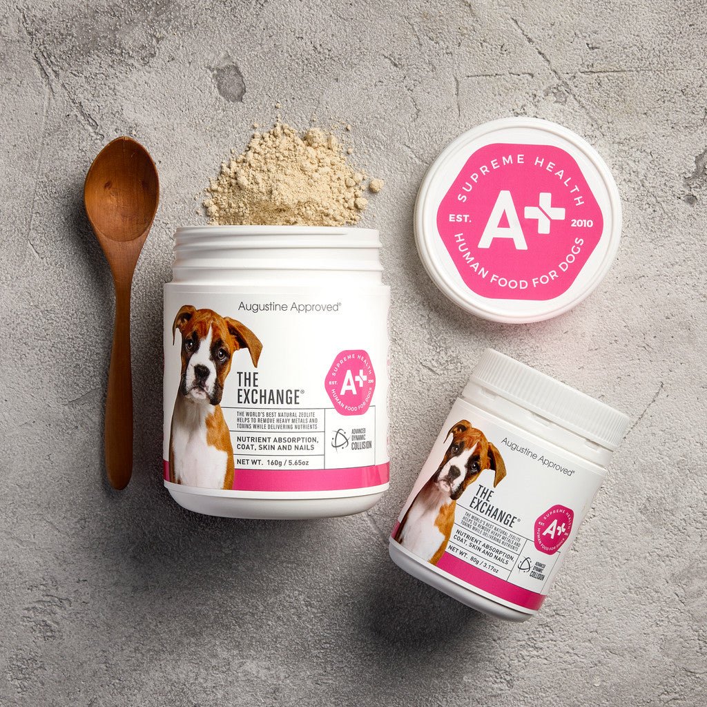 Augustine Approved Dynacol Zeolite Powder For Cats & Dogs (Nutrient Absorption, Coat, Skin & Nails) - Good Dog People™