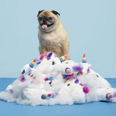 $18 ONLY: BarkShop Pete The Frankly Fantastic Unicorn Dog Plush Toy