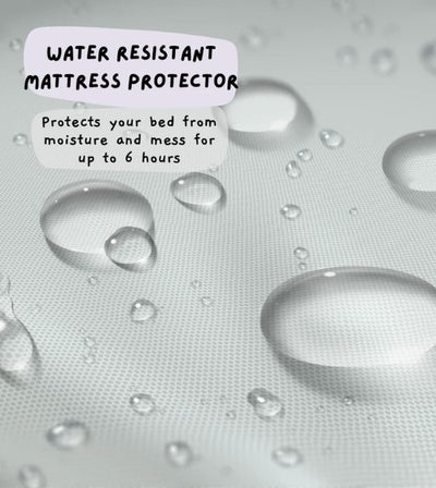 Big Borky Dog Bed Waterproof Mattress Protector - Good Dog Peopleā¢