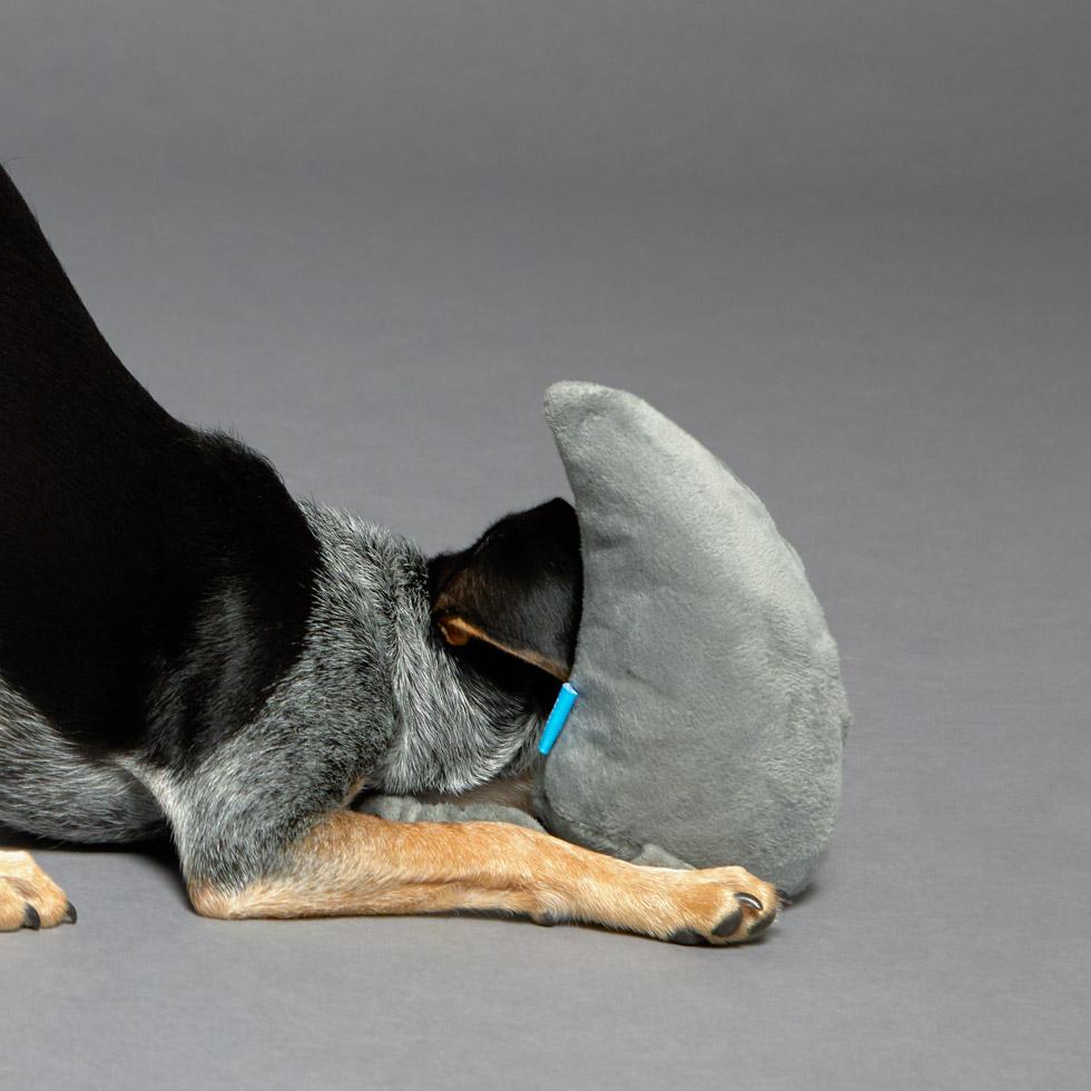 20% OFF: BarkShop Great White Bark Wearable Dog Plush Toy Set