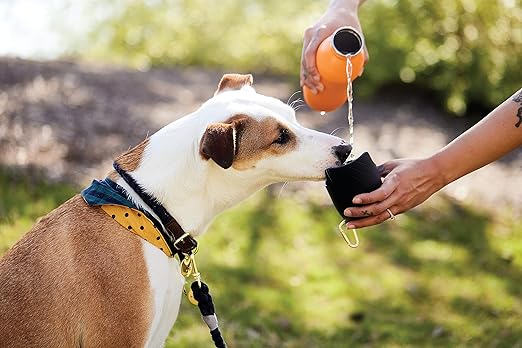 Field and Wander 2-in-1 Stainless Steel Travel Bottle For Dogs & Cats (With Bowl & Carabiner) - Good Dog Peopleā¢