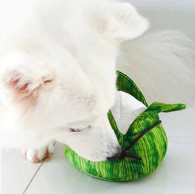 Furball Collective Squeakie Dog Toy (Bak Zhang) - Good Dog Peopleā¢