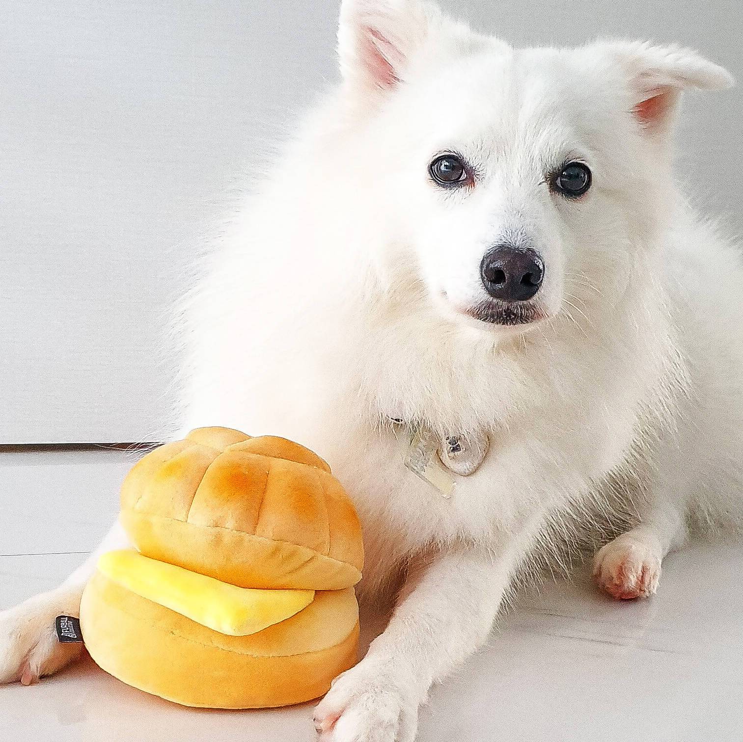 Furball Collective Squeakie Dog Toy (Bolo Bun) - Good Dog People™