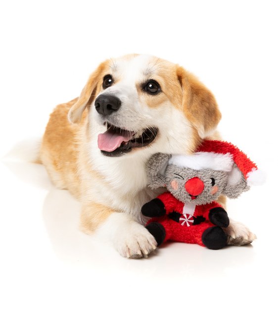 FuzzYard Christmas Dog Toy (Ko-Ko Koala) - Good Dog Peopleā¢