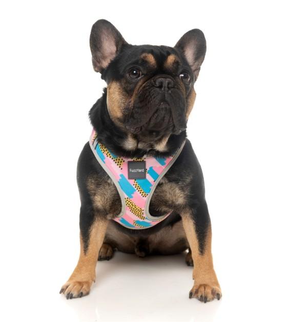 FuzzYard Jiggy Step-in Dog Harness