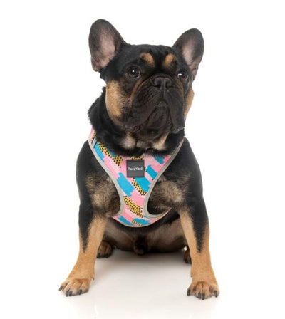 FuzzYard Jiggy Step-in Dog Harness