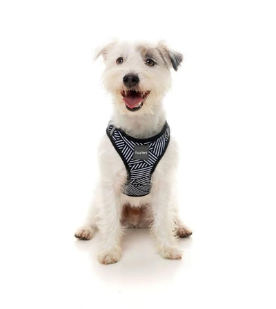 FuzzYard  Northcote Step-in Dog Harness