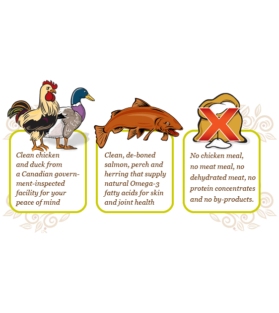 GIFT WITH PURCHASE >$120: Carna4 Easy-Chew Quick Baked Dry Dog Food Trial Pack (1 x Random Flavour) - Good Dog People™