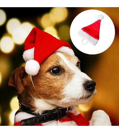 GIFT WITH PURCHASE >$99: Good Dog People Christmas Santa Claus Hat For Dogs - Good Dog Peopleā¢