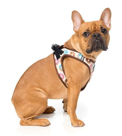 FuzzYard Go Nuts Step-in Dog Harness