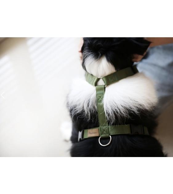 Haqihana Green Dog Harness