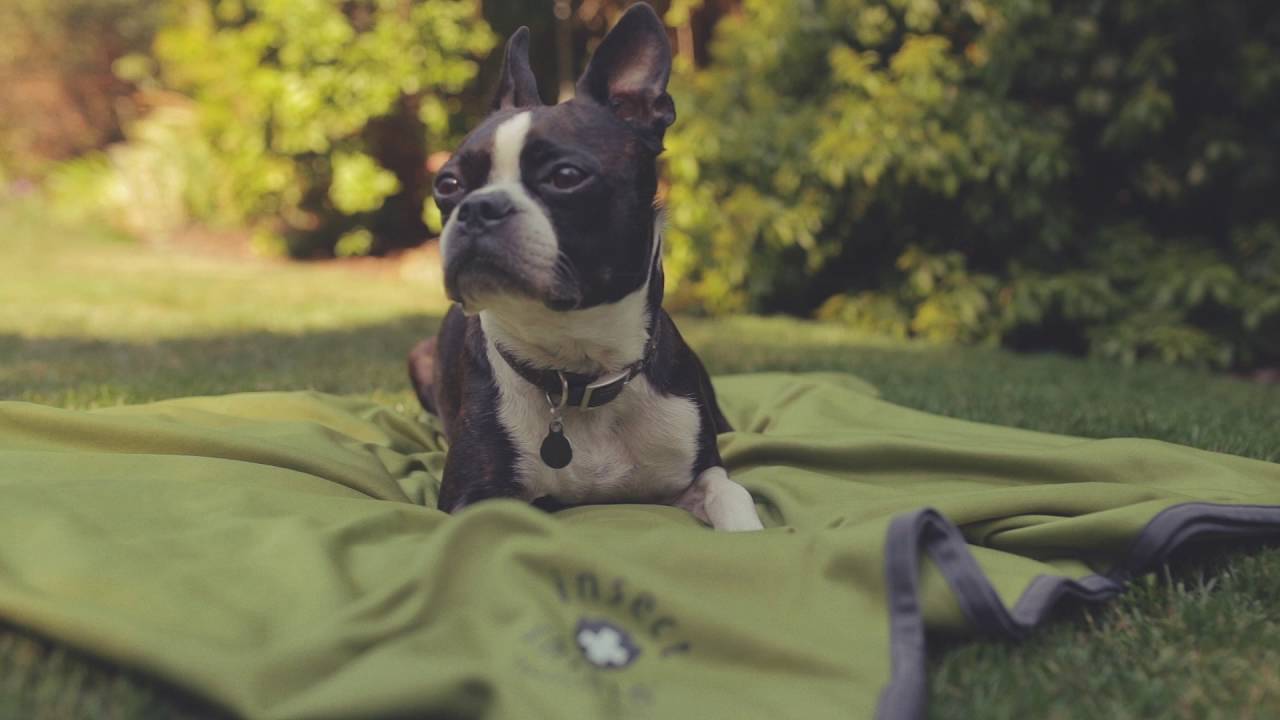 Insect Shield Flea & Tick Protection Blanket For Cats & Dogs (Green)