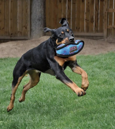 Kong Ballistic Boomerang Dog Toy (Assorted Colours) - Good Dog Peopleā¢