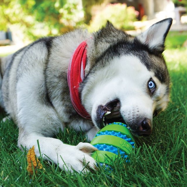 KONG Squeezz Goomz Football Dog Toy - Good Dog Peopleā¢