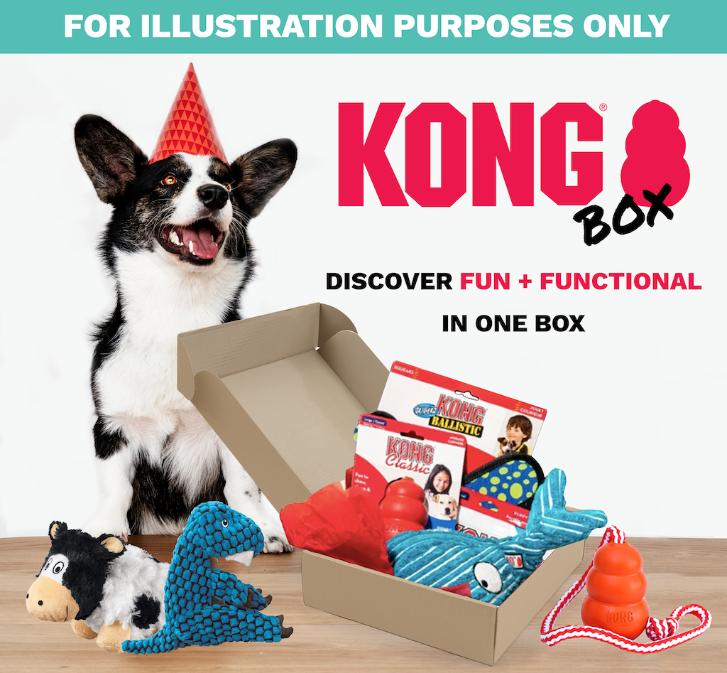 30% OFF: Kong Puppy Teethers Box