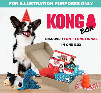 30% OFF: Kong Puppy Teethers Box