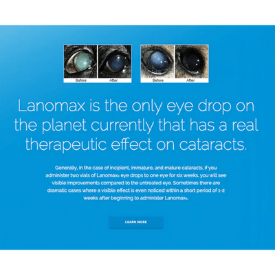 Lanomax Cataract-Dissolving Lanosteral Eye Drops for Dogs & Cats - Good Dog People™