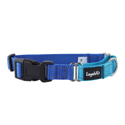 Loyal.D Buckle Martingale Reflective Dog Collar - Good Dog Peopleā¢
