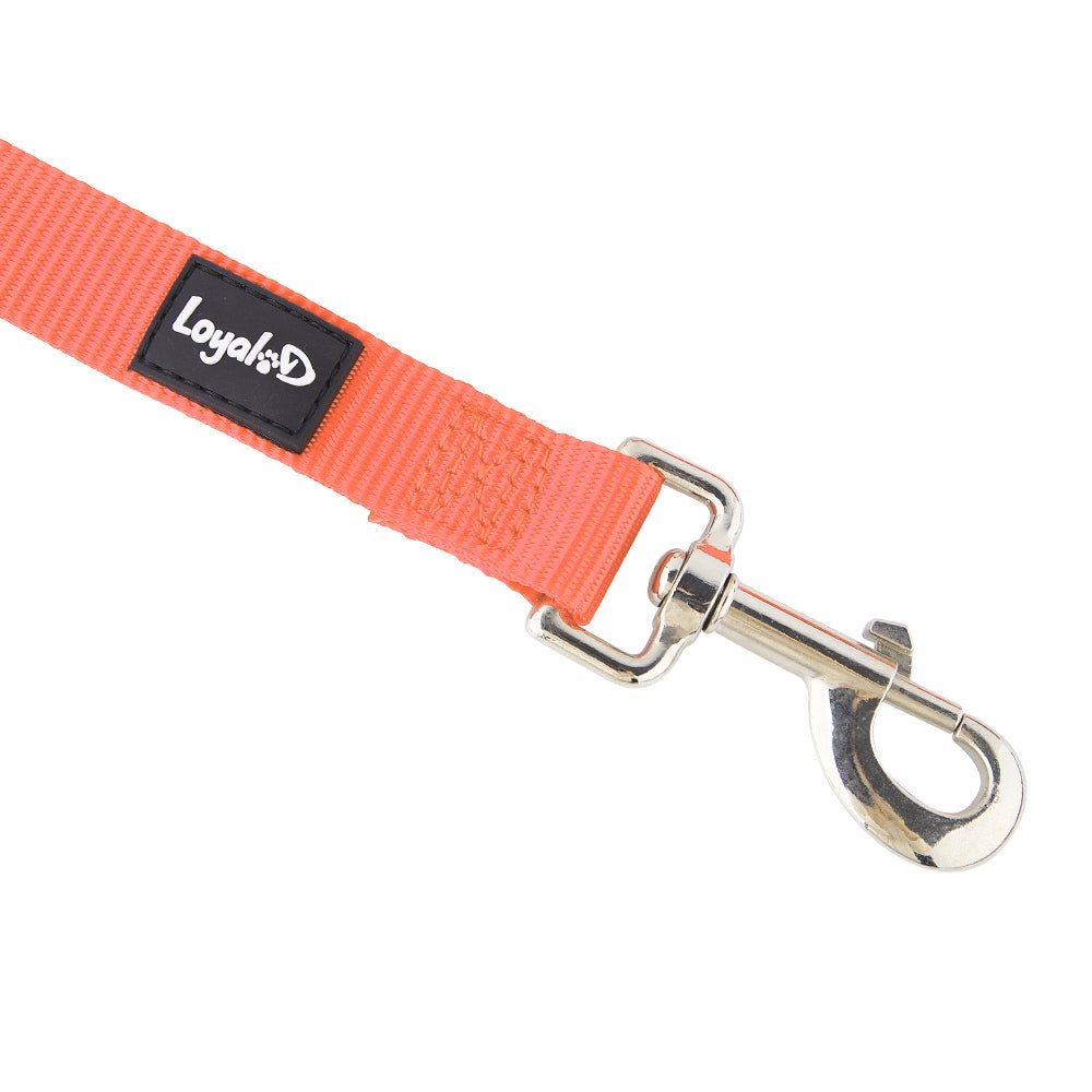 Loyal.D Fix.D Comfort Orange Dog Leash (Neoprene Handle) - Good Dog Peopleā¢