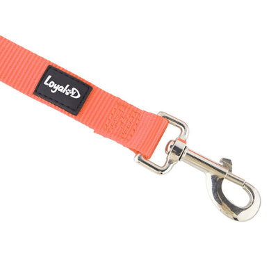 Loyal.D Fix.D Comfort Orange Dog Leash (Neoprene Handle) - Good Dog Peopleā¢